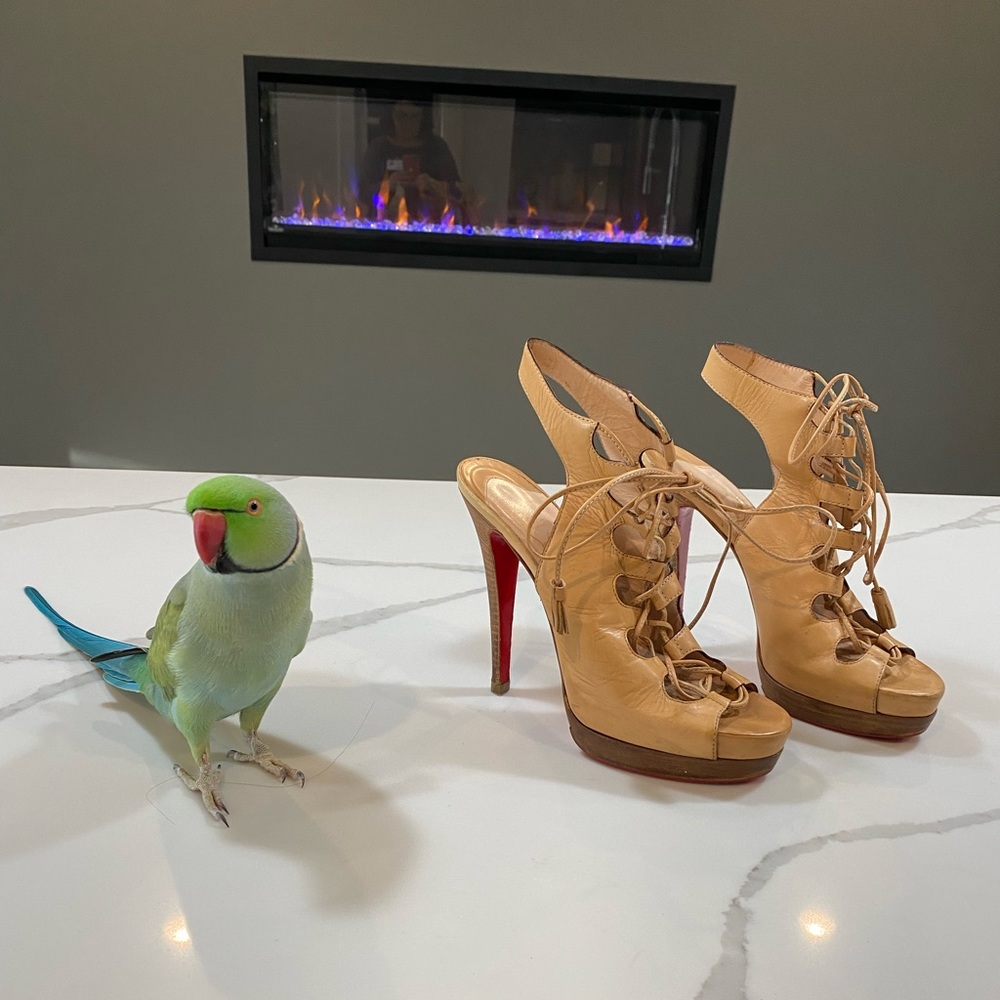 Louboutin Miss Fortune Platform Gladiator Sandals